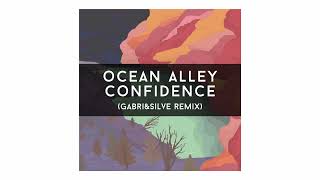 OCEAN ALLEY  CONFIDENCE GABRIampSILVE Remix [upl. by Fredie]