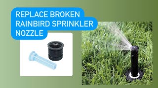 Replace rainbird sprinkler head nozzle [upl. by Hsan64]