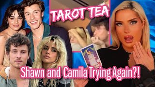 Tarot TEA Quickie  Are Shawn amp Camila Back Together [upl. by Ahsenauq]