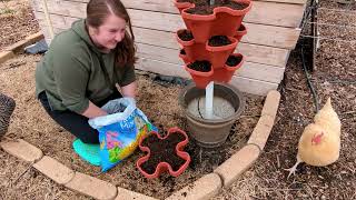 Setting up and planting my Mr Stacky [upl. by Sand]