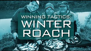 Winning Tactics Winter Roach [upl. by Amiaj]