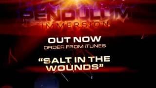 Pendulum  Immersion  02  Salt in the Wounds [upl. by Joao395]