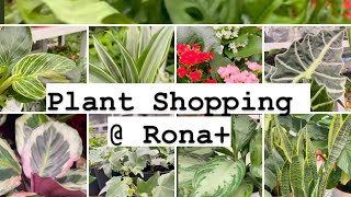 Plant Shopping  Rona vlogmas [upl. by Harahs]