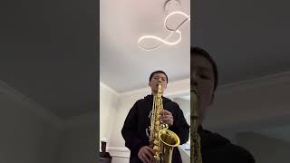 Dolphin Shoals Saxophone Solo [upl. by Kauffmann]