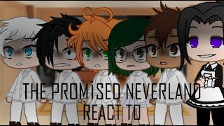 The Promised Neverland react to tiktoks  •Light Møøn• [upl. by Kandace552]