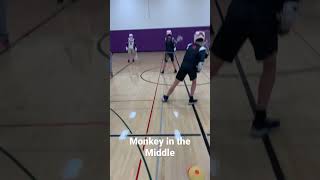 Monkey in the Middle lacrosse drill lacrosse [upl. by Sigsmond]