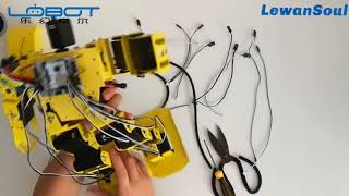 LewanSoul H30 Humanoid Robot Wiring Video [upl. by Metah660]