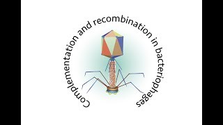 Complementation and recombination in bacteriophages [upl. by Fredella]