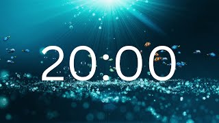 20 Minutes Timer With Relaxing Music [upl. by Htiek484]