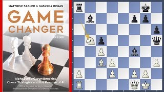 New in Chess Book Review  Game Changer AlphaZero [upl. by Vincelette221]