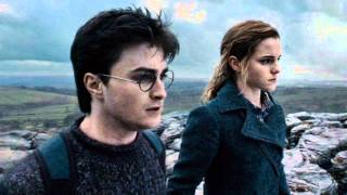 Harry amp Hermione Dance Scene Music O Children [upl. by Jennee875]