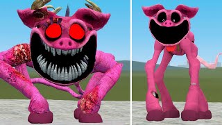 NEW EVOLUTION OF PICKY PIGGY NIGHTMARE PICKY PIGGY  Poppy Playtime Chapter 3 in Garrys Mod [upl. by Yrtnahc]