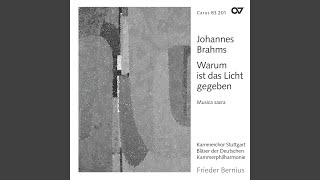 Brahms Begräbnisgesang Op 13 [upl. by Naujud674]