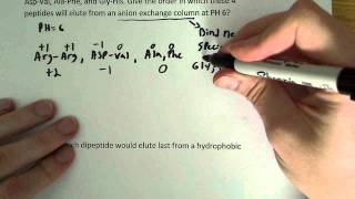 Protein Purification Problems [upl. by Mohamed]