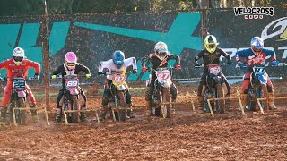 Corrida Muito Forte na Categoria 200cc  2° Etapa Paranaense de Velocross 2023 [upl. by Dazraf729]