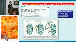 Pathogenesis and pathophysiology of PD  Fabio Blandini IRCCS Neurological Institute C Mondino [upl. by Voe]