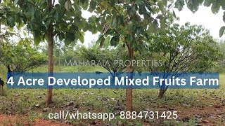 Mixed Fruits Farm  Wide Road Frontage Borewell Red Soil amp More  Explore This Agricultural Land [upl. by Ziul]