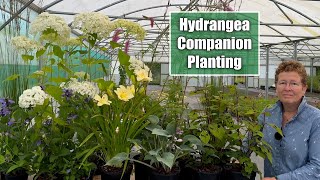 Companion Planting for Hydrangea in Part Shade  How To Build A Garden Border [upl. by Nodlew]