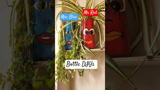 Bottle diy Bottle planter waste bottle reuse bestoutofwaste gardening chalobagwanikare [upl. by Gnoix391]