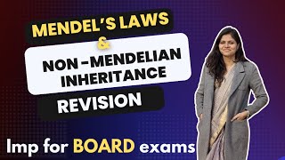 Mendels laws  law of segregation for class 12th Boards  law of dominance [upl. by Crow]