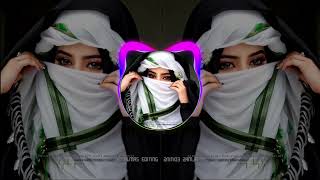 New Arabic Remix  Bass Boosted ریمیکس 2024   SlowedReverb  New Song 2024 [upl. by Esetal]