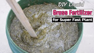 DIY Liquid Grass Fertilizer for Super Fast Plant Growth [upl. by Emilia990]