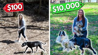 How She Turned Her Side Hustle into Full Time Dog Walking Business Start with 0 [upl. by Bergquist60]