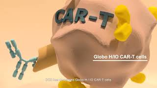 Armored Globo H CART Cells for Cancer Therapy [upl. by Timoteo]