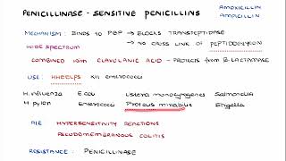 PENICILLINASE SENSITIVE PENICILLINS [upl. by Enrak]