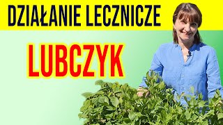 💥LUBCZYK  działanie lecznicze STAWY NERKI DETOKS cz 1 [upl. by Thar]