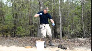 Beaver Trapping  Trap Preparation [upl. by Nad587]