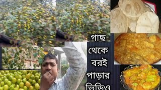 আজকে একটা ব্লগ ভিডিও শেয়ার করলাম। How to make Bangali vlog ।mariyamkitchenvlog [upl. by Dale]