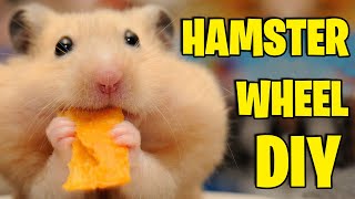 HAMSTER WHEEL DIY EASY  How To Make At Home  Hamster Diy  My Cute Hamster [upl. by Lyontine]