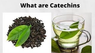 What are Catechins [upl. by Bashuk788]