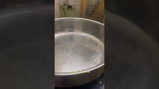 Stainless Steel pan to non sticky  Leiden Frost Effect [upl. by Ecenaj]