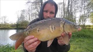 Match Fishing An Evening on High Legh Pool [upl. by Rannug]