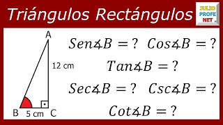 Funciones trigonométricas en un triángulo rectángulo [upl. by Haelem58]