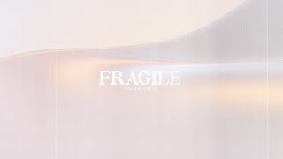 Fragile Official Lyric Video [upl. by Candyce]