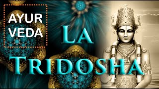 PRINCIPIOS DE AYURVEDALA TRIDOSHAAudio [upl. by Nauaj]