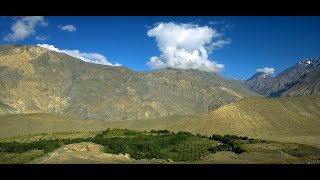 How one man created a forest in a cold desert of Himachal Pradesh [upl. by Norean367]