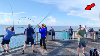 Walked to The End of The Gulf Pier and Saw This [upl. by Armil]