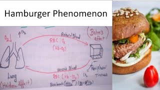 Hamburger Phenomenon  Chloride Shift  Bohr effect  Random video Mightymedicoz [upl. by Llerref]