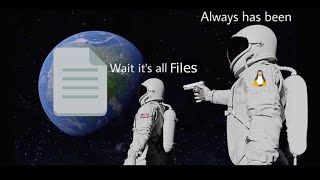 Linux Love for file descriptors fd what [upl. by Okia453]