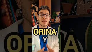 La verdad detrás de los ojos rojos en la piscina [upl. by Sayce]