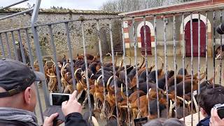 La soupe des chiens  Chateâu de Cheverny  France [upl. by Messing]