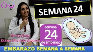 EMBARAZO SEMANA 24 EMBARAZO SEMANA A SEMANA POR GINECOLOGA DIANA ALVAREZ [upl. by Enomar869]