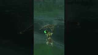 How to Bullet Time Bounce Zelda Breath of the Wild BotW shorts [upl. by Raimundo]