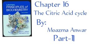 Reaction of the citric acid cycle chapter 16 Part2 in urdu lehninger principles of biochemistry [upl. by Thomasina]