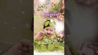 Daneenدانین Islamic Baby Girls Name With Meaning In Urdu Hindi daneen daneenname ytshorts [upl. by Abby]