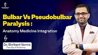 Bulbar Vs Pseudobulbar Paralysis  Anatomy Medicine Integration  Cerebellum Academy [upl. by Dulcy]